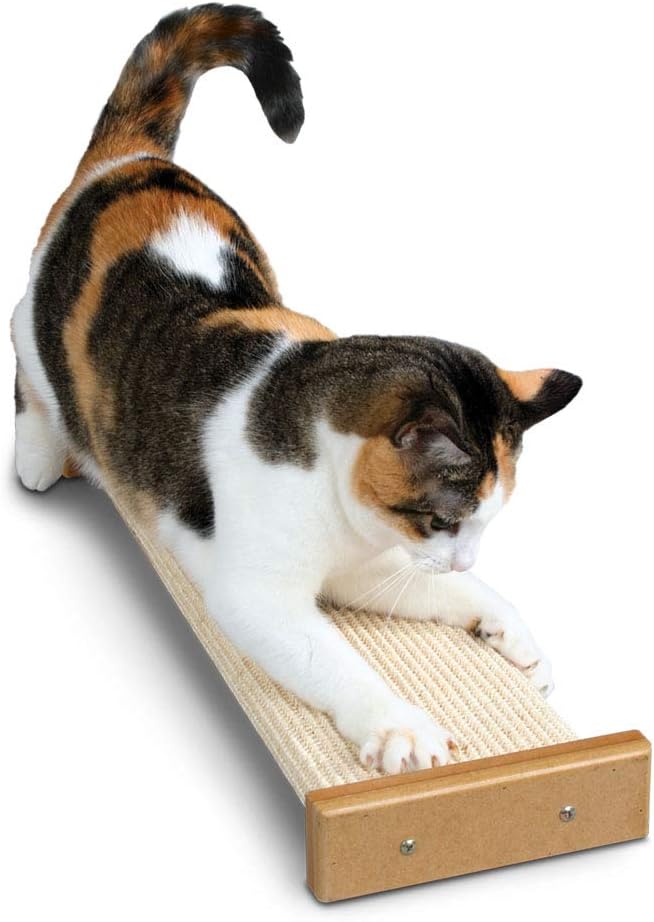 SmartCat Bootsie's Combination Scratcher