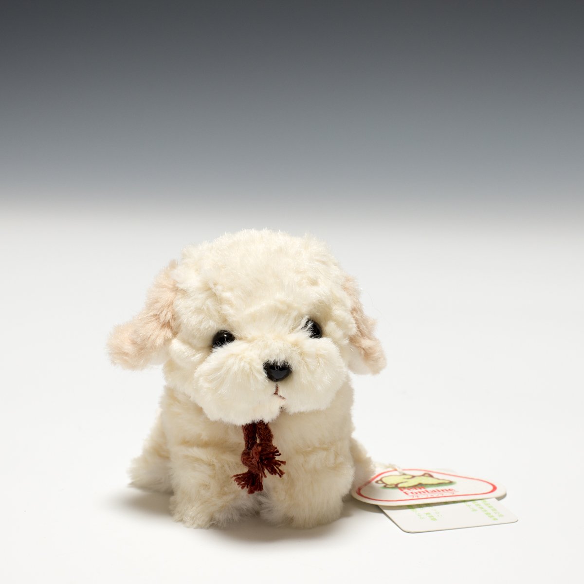 Amazon.co.jp: たけのこ キャンディフォンテーヌ レトリバー