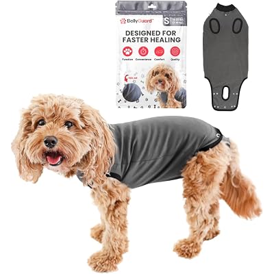 BellyGuard Dog Surgery Recovery Suit, Post-Op Dog Recovery Suit for Female Spay & Male Neuter, Comfy Onesie for Pets, Surgical Body Cover for Canine Healing Support