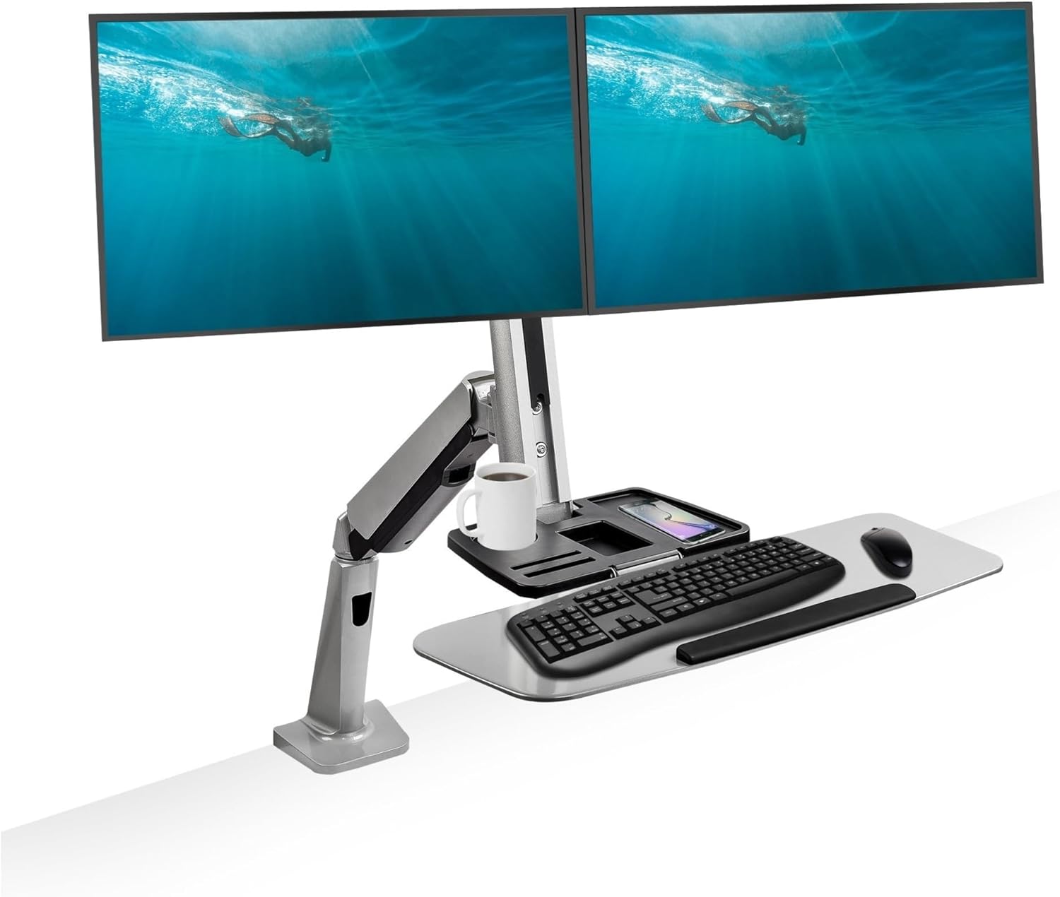 https://m.media-amazon.com/images/I/61IP6-gCS6L._AC_SL1500_.jpg