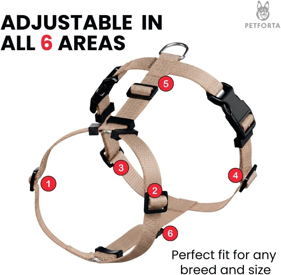 Anatomically Correct Y-Shape Dog Harness, Non-Restrictive, No Pull, 6-Point Adjustable for Natural Movement, Escape-Proof, Reflective, Easy-Fit, Medium, Beige (Beige, Small)