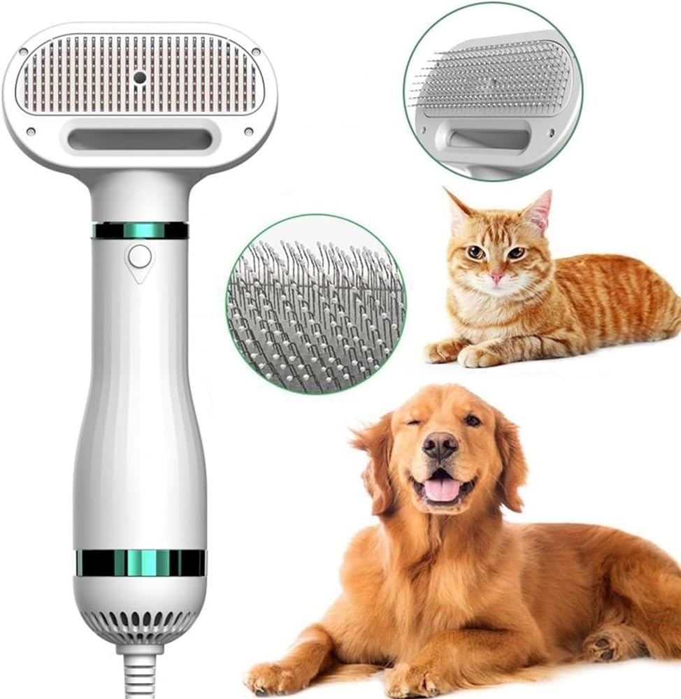 best hair dryer for dogs
