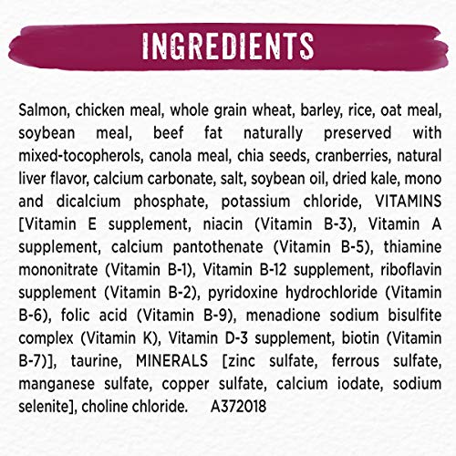 purina beneful superfood blend reviews