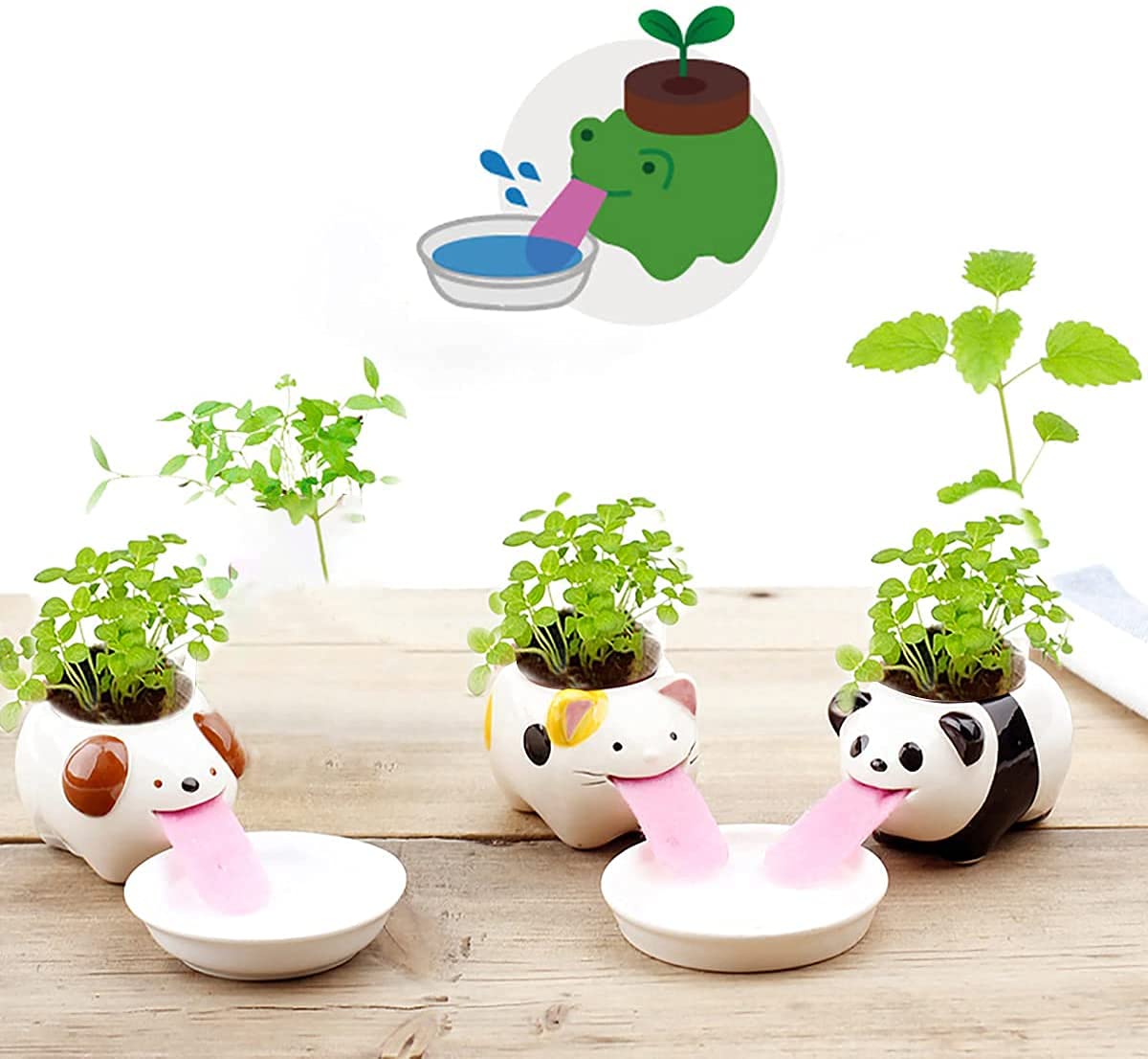 SWONVI 3 Pack Cute Animal Self Watering Planter Pots, Cute Tongue Animal Planters Ceramic Plant Pot for Indoor Outdoor Decoration Home Office Decor Window Garden Gifts