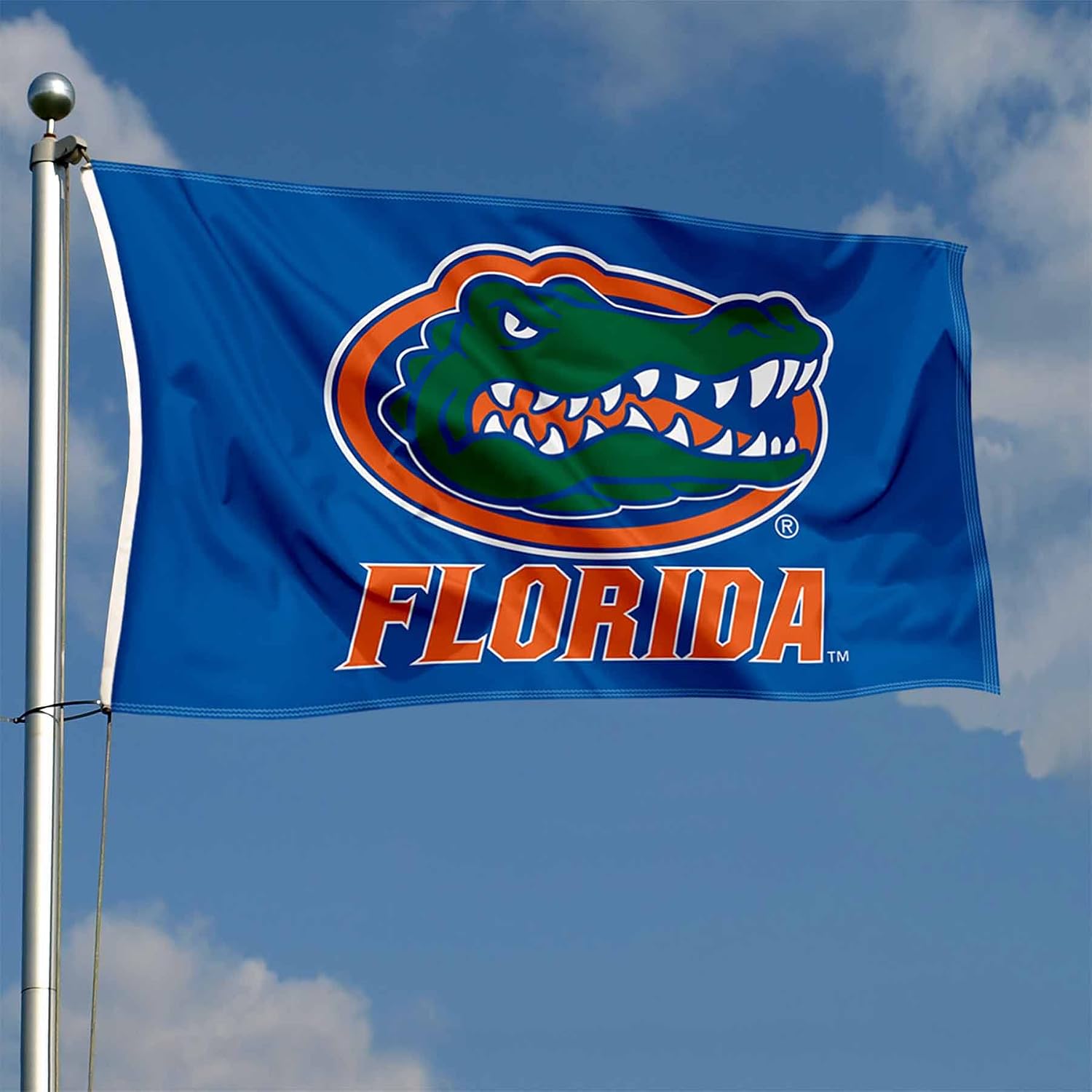 Florida Gators UF University Large College Flag