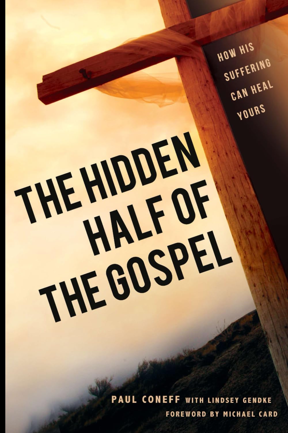 The Hidden Half of the Gospel:: How His Suffering Can Heal Yours