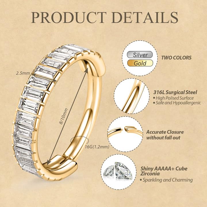 FUNLMO 316L Surgical Steel Hinged Segment Ring Conch Helix Septum Piercing Jewelry Nose Ring Hoop Huggie Earrings Small Hoop Earring2