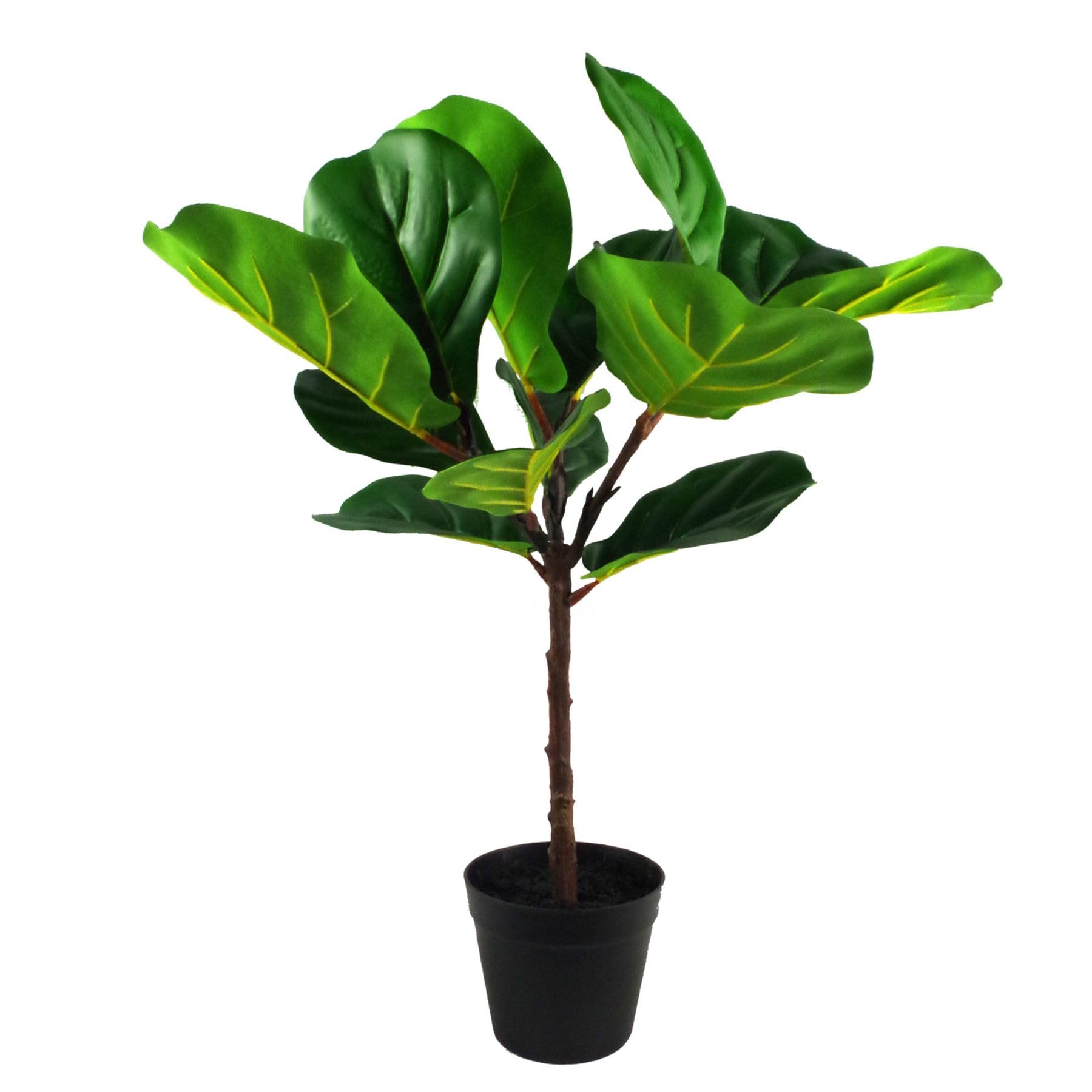Botanik Artificial Office Plants