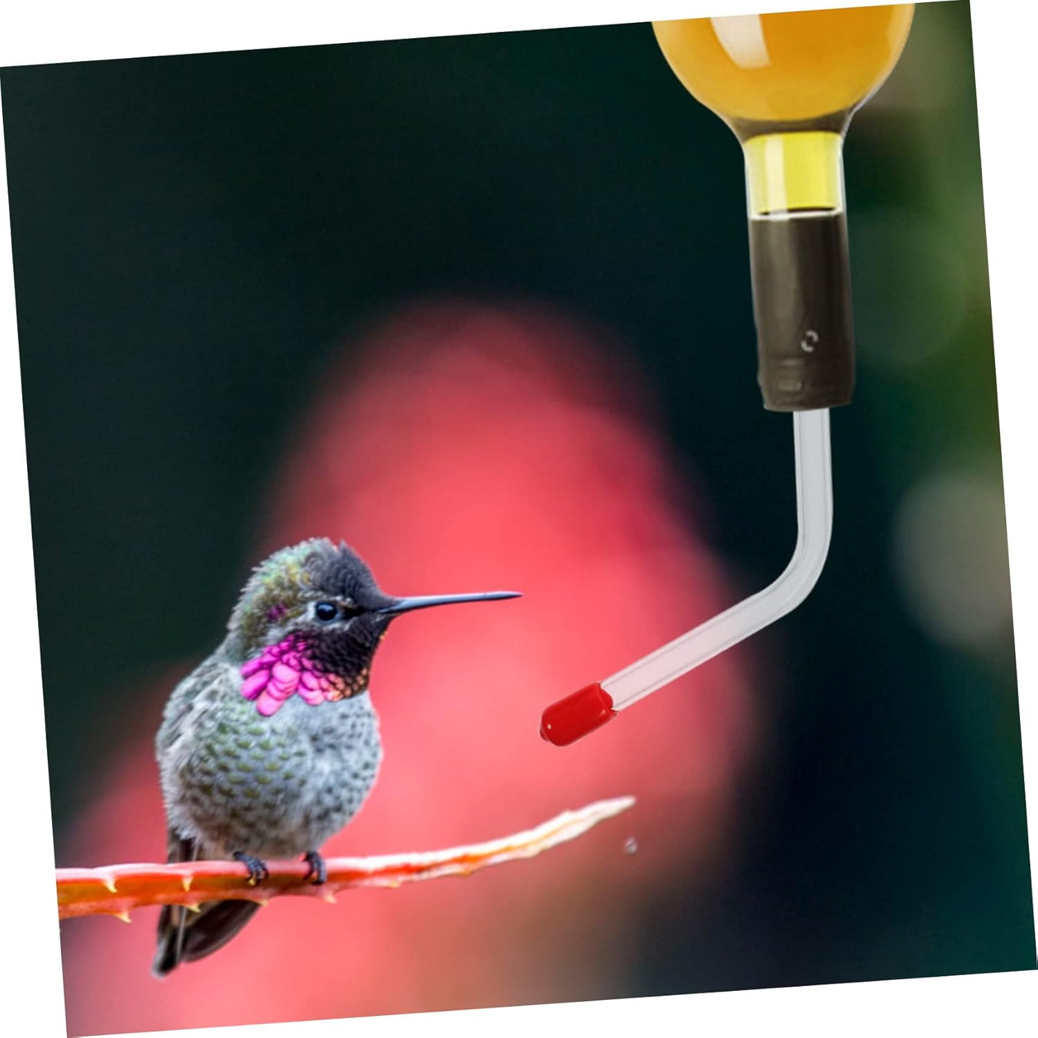 4 Pcs Hummingbird Feeder Tubes for Mason Jar Creative Bird Feeder Accessories Ideal for Hummingbird Feeders for Outdoor Bird Watching