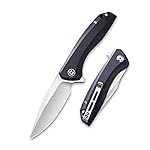 CIVIVI Liner Lock Folding Knife Baklash 3.5 Satin Blade G10 Handles, Reversible Pocket Clip C801C (Black)
