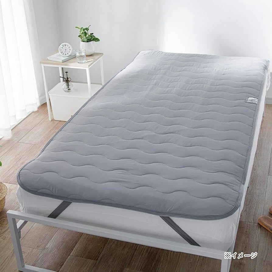 Amazon｜カインズ(CAINZ) 【2024春夏】もっとひんやり 除湿 敷