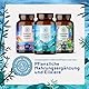 Ashwagandha Kapseln hochdosiert - 500mg Ashwagandha Extrakt pro Tagesdosis mit 35mg Withanolide - indische Schlaf Beere - 100 vegane Kapseln