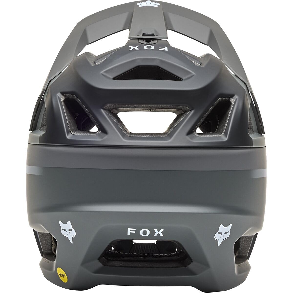 Amazon.com : Fox Racing Proframe Helmet Rizer Dark Shadow, L 