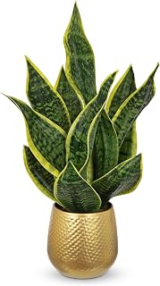 Kunstpflanze Sansevieria 46CM Künstliche Pflanze wie Echt Tischdeko | Bogenhanf