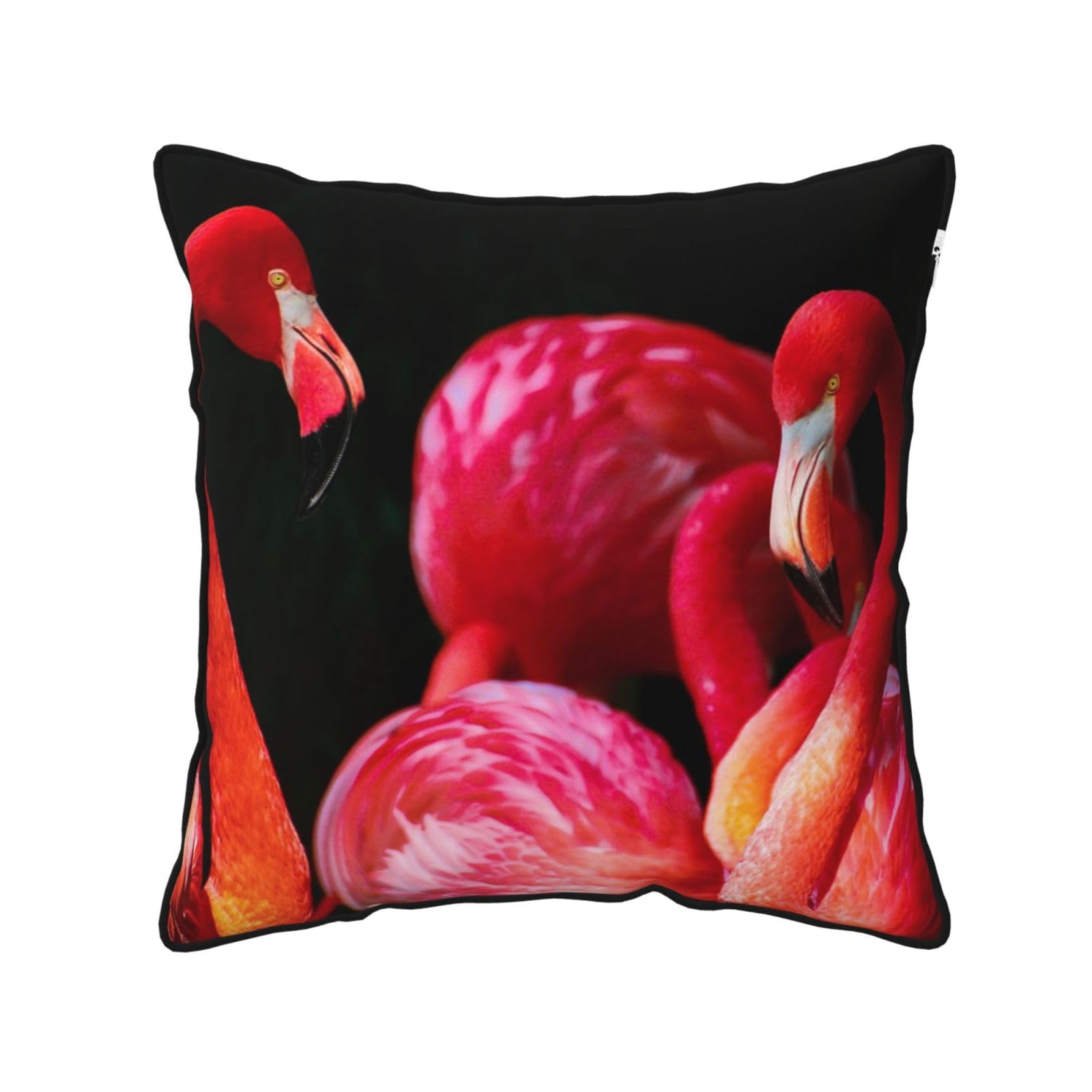 FZGGWYHL flamingos in black background printed Velvet Throw Pillow Cover Pillowcase