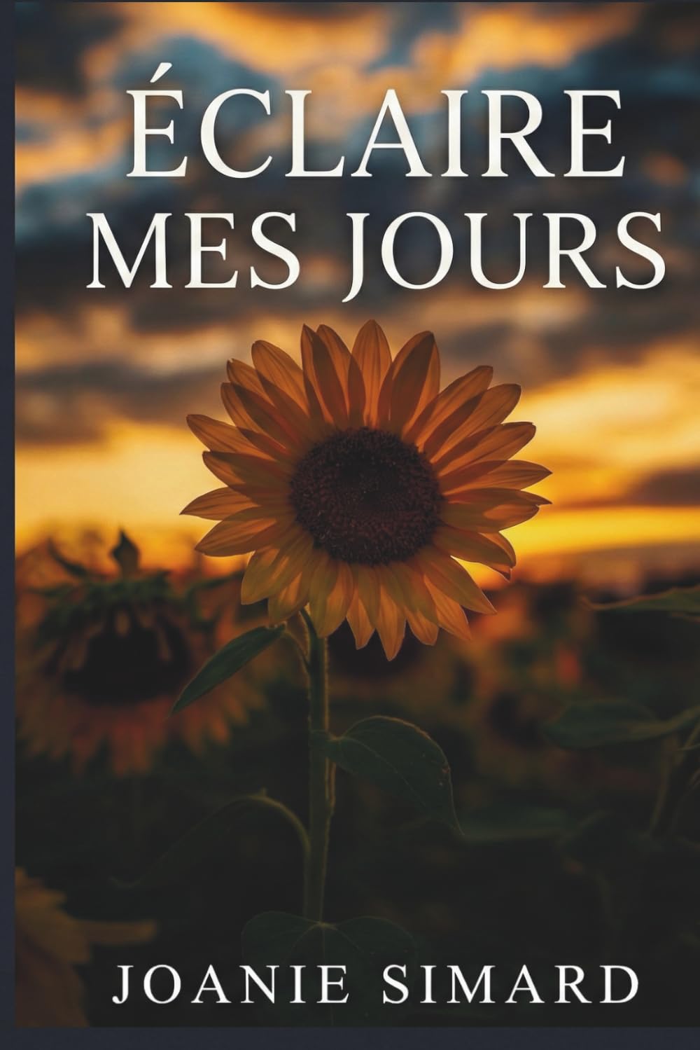 Éclaire mes jours