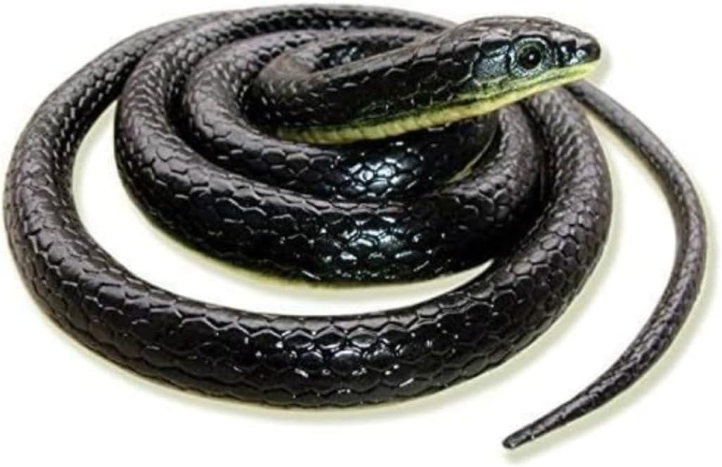 (Pack of 1) Black Snake Toy Realistic Rubber Snakes Prank Toys & Gifts, Magic Shows Toy Snake for Kids, Black Color Fake Snake Toys for Garden (A116)