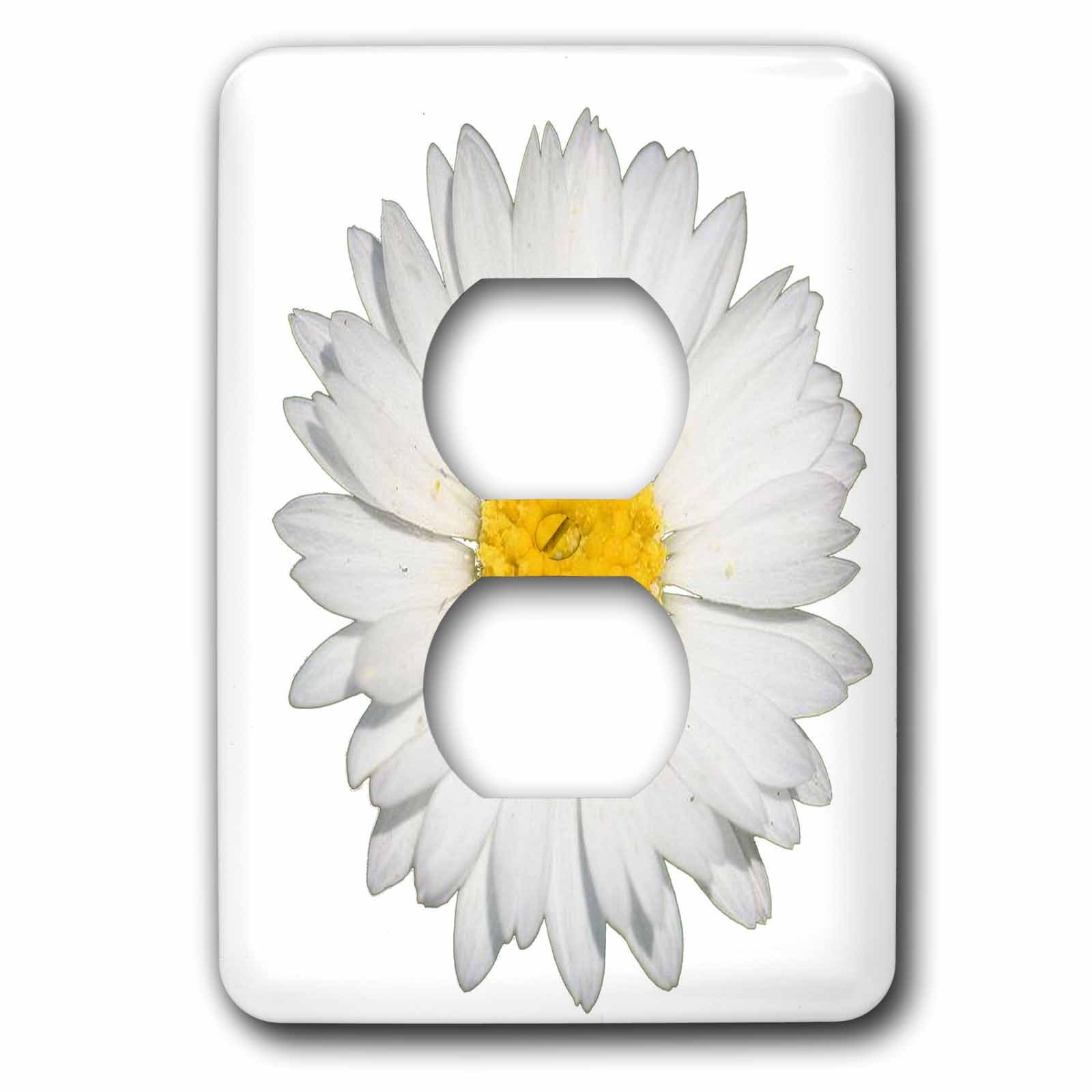 Gros plan d'une belle marguerite jaune d'une netteté absolue en 2 prises