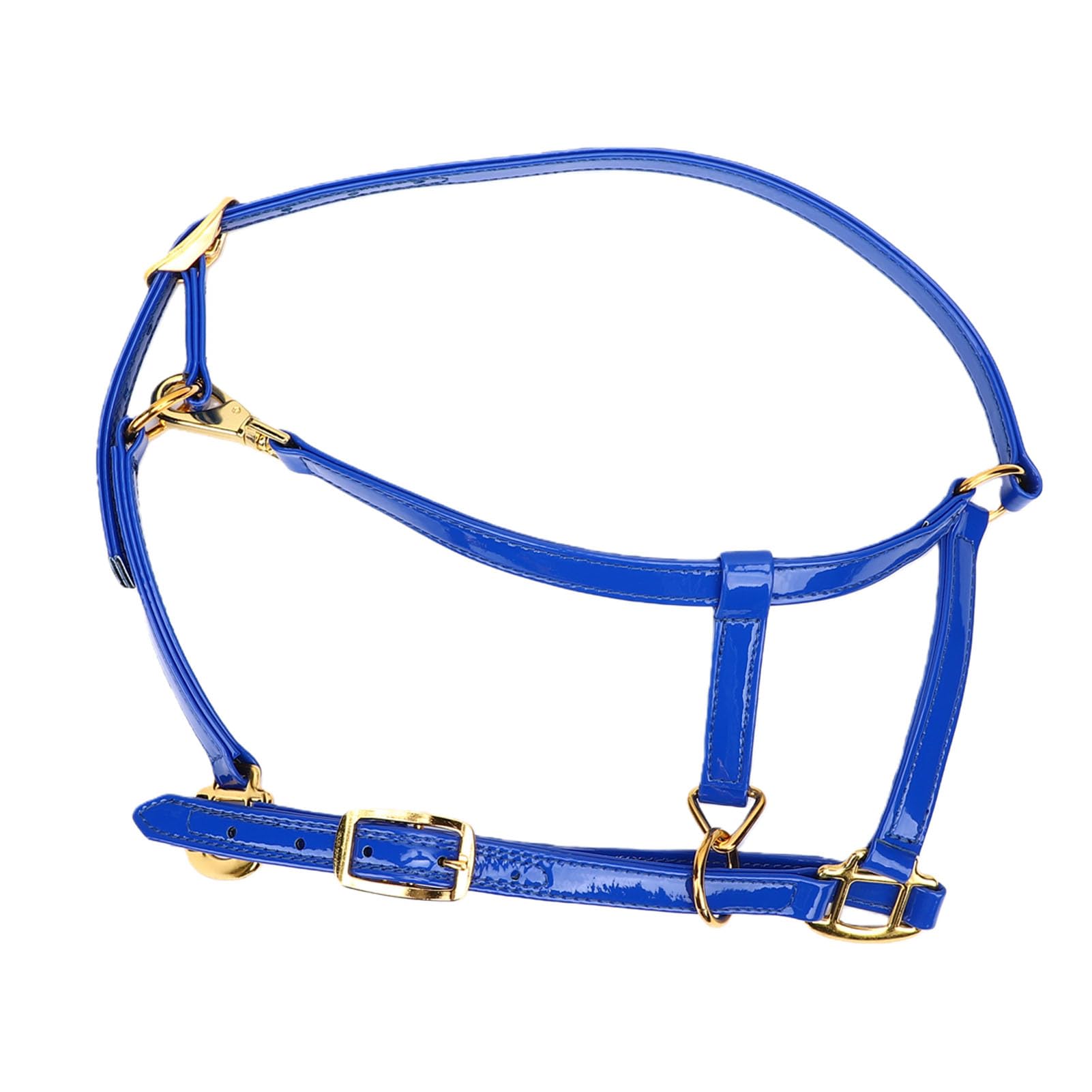 SIXRUN Briglia per Cavallo Testiera in Pelle Smaltata a Doppio Strato da 20 Mm con Fibbie Color Oro Resistente agli Odori Puntina Facile da Pulire per Allenamento Spettacoli di Equitazione
