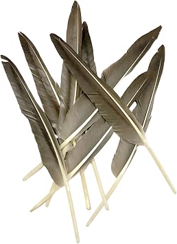 Grey Feathers 30PCS Natural Long Goose Feather,10-12in Bulk Left and Right Wing Gray Feathers for Crafts,Party Decoration,DIY Fabricating Handicraft Article Grey