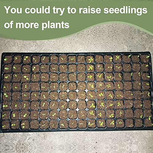 200 Pcs Peat Pellet- 30Mm Seeds Plant Starting Compressed Nutrient Fertilizer Fiber Soil Block Plant Starting Plugs Peat Pellets Bulk For Plant Seedling Transplanting Growing Herb Flower Vegetables #TOP2