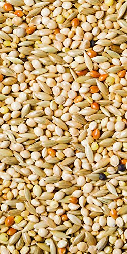 BCI Wild Delight 374050 5 Lb Deck Porch N' Patio Birdfood