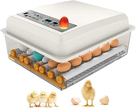 Automatic Hatching Egg, Incubator, Dedicated for Birds, Automatic Egg Rolling Type, For Ducks, Geese Quails, Chickens, and Other Livestocks, Poultry, Birds, Hatching Egg, For Children Education, Home Use, Hatching Egg, 36
