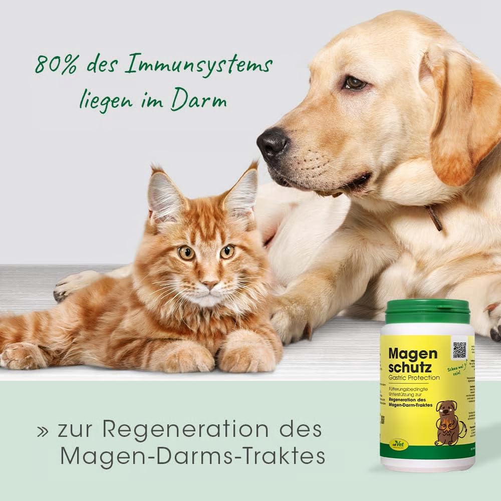 cdVet Magenschutz 60g - Pulver zur Förderung der Gesundheit von Magen und Darm für Hunde und Katzen