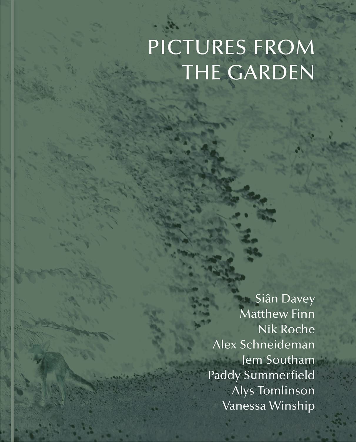 Pictures From The Garden (Hardback Book)