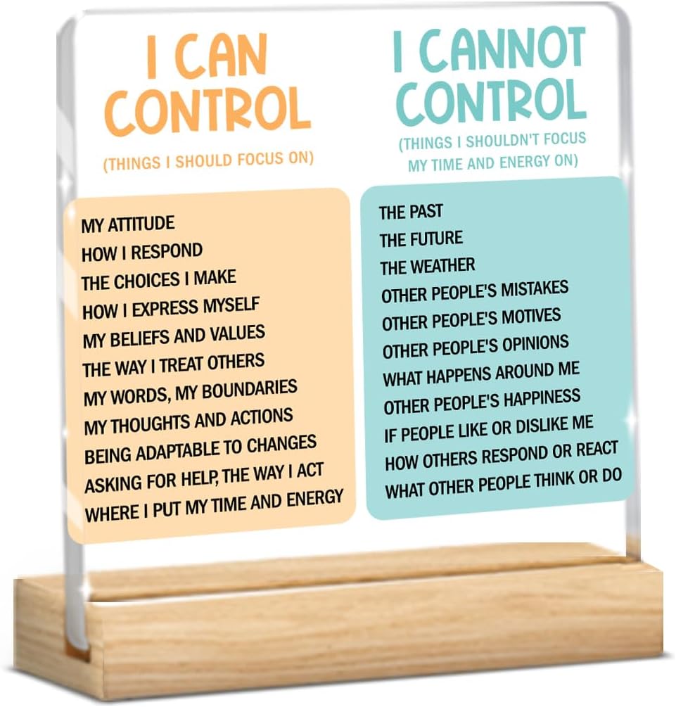 Motivational Office Acrylic Sign,Things I Can't Control Office Decor Sign, Thank You Gifts for Woman Friends Nurse Coworker Decorative Desk Accessories Table Shelf Plaque Signs Decor-01