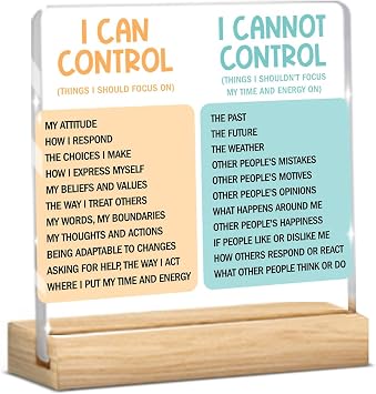 Motivational Office Acrylic Sign Things I Cant Control Decor Sign | Thank You Gifts for Woman, Friends, Nurse, Coworker, Decorative Desk Accessories, Table Shelf Plaque Signs Decor