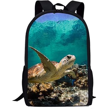 turtle school bag
