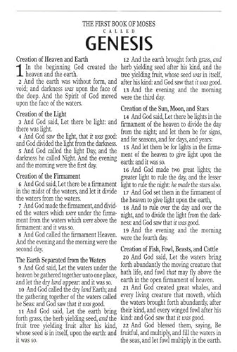 Personalized Kjv Giant Print Bible, Imitation Leather, Pink, Indexed Custom Name Imprint, Baptism, Graduations, King James Version #TOP3