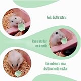 Ver la foto 3