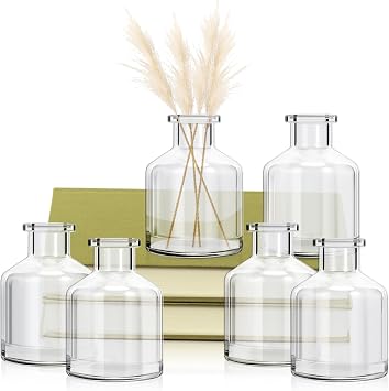 6 Pcs Bud Vases, Clear Glass Bud Vase, 2 x 2.75 Inch