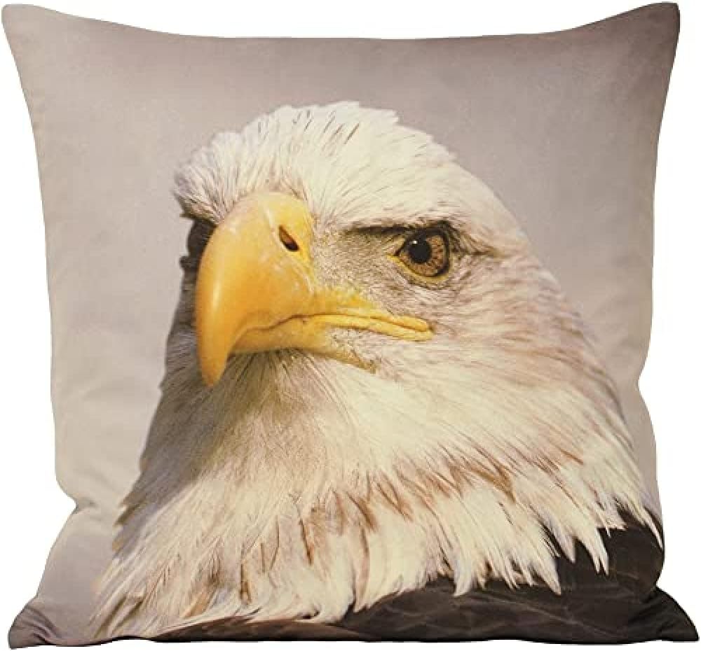 Riva Paoletti Animal Eagle Cushion Cover - Animal Print Design - Faux Suede - Hidden Zip Closure - Machine Washable - 100% Polyester - 45 x 45cm (18" x 18" inches) - Designed in the UK