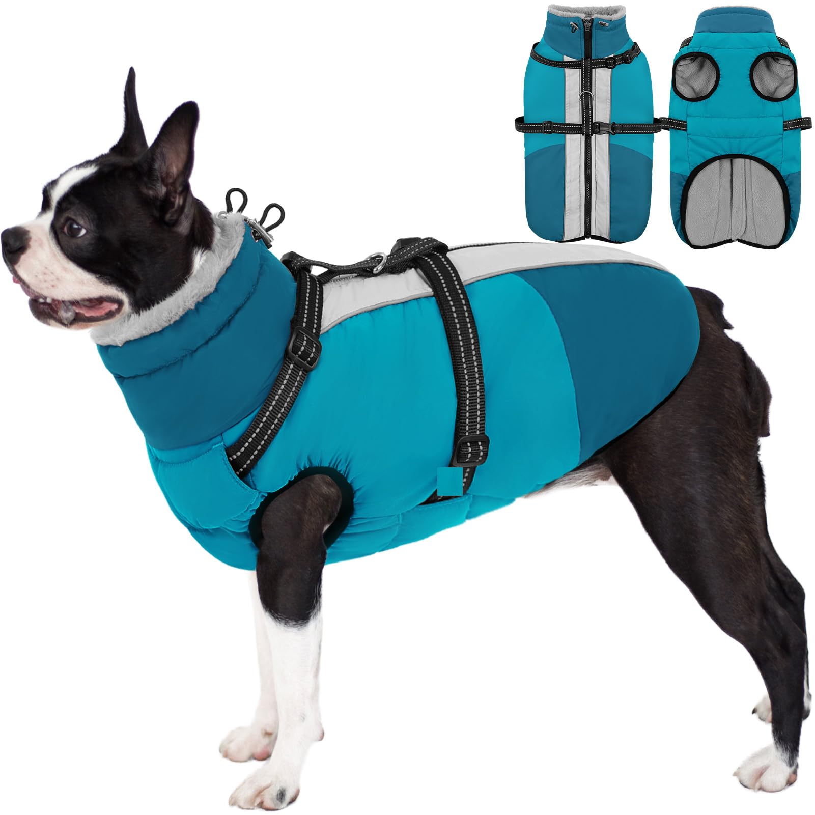 Combinaison de neige pour petit chien vêtement d'hiver anti-froid Yorkshire et Schnauzer