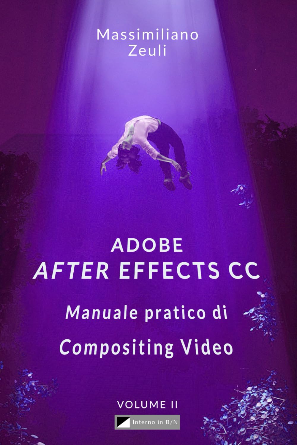 After Effects CC pour maitriser le compositing video interieur noir et blanc