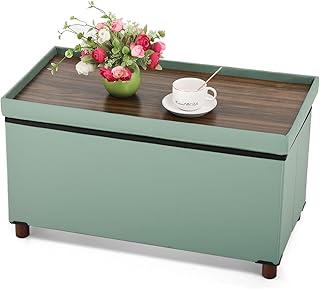 Ottoman Storage Bench for Living Room with Tray, Bedroom Foot Stool, Cof...