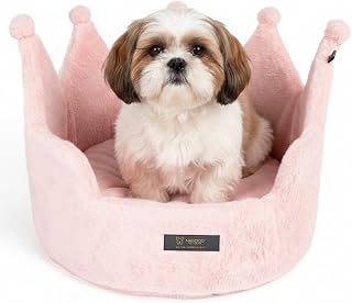 NANDOG