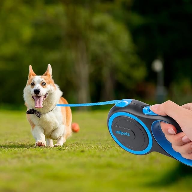 Foto 6 de 6 de Edipets, Correa Perro Extensible, Retráctil, 3, 5 y 8 Metros, Cinta Flexible para Adiestramiento y Paseo