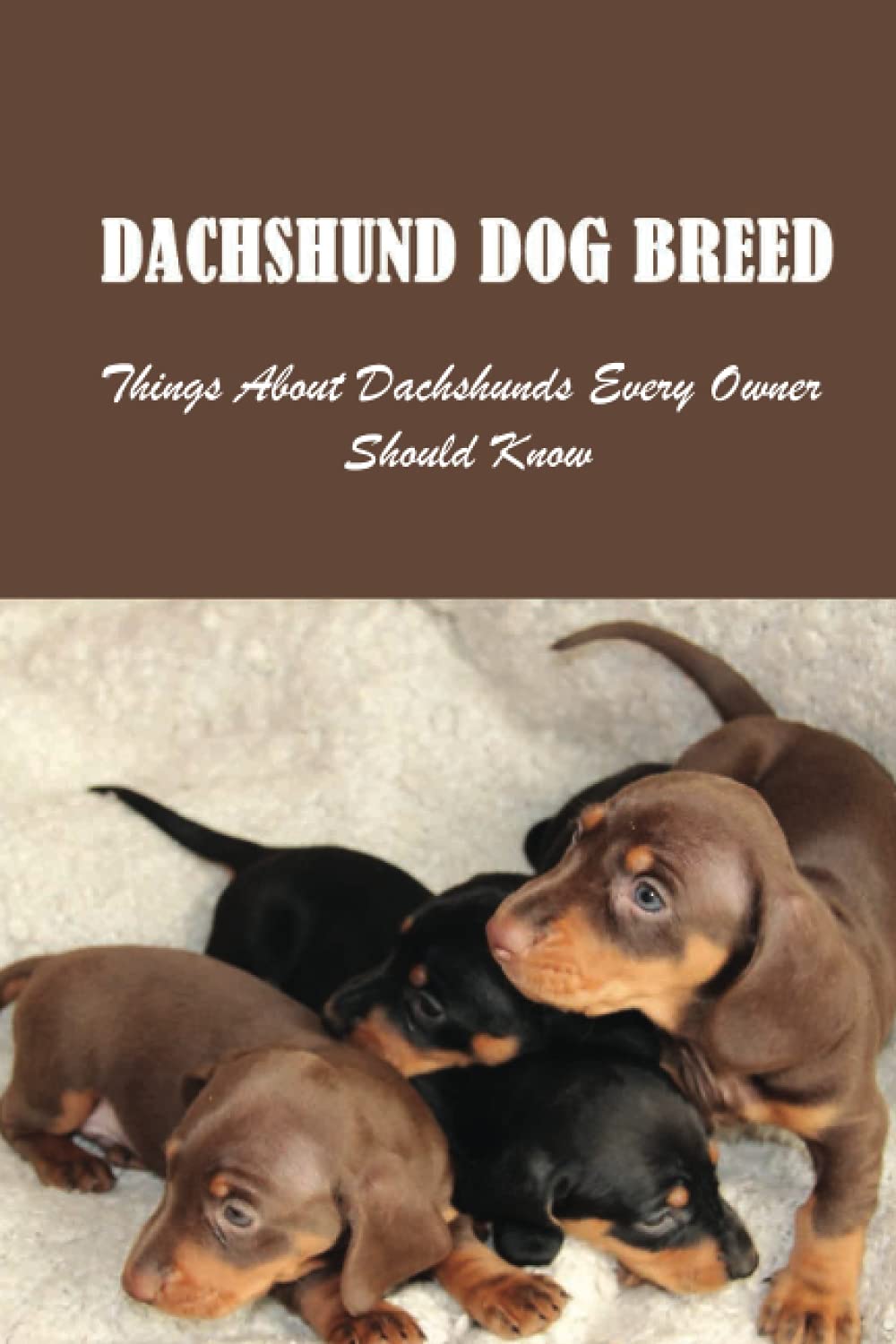 Dachshund Dog Breed: Things About Dachshunds Every Owner Should Know: Can You Breed A Mini Dachshund With A Standard