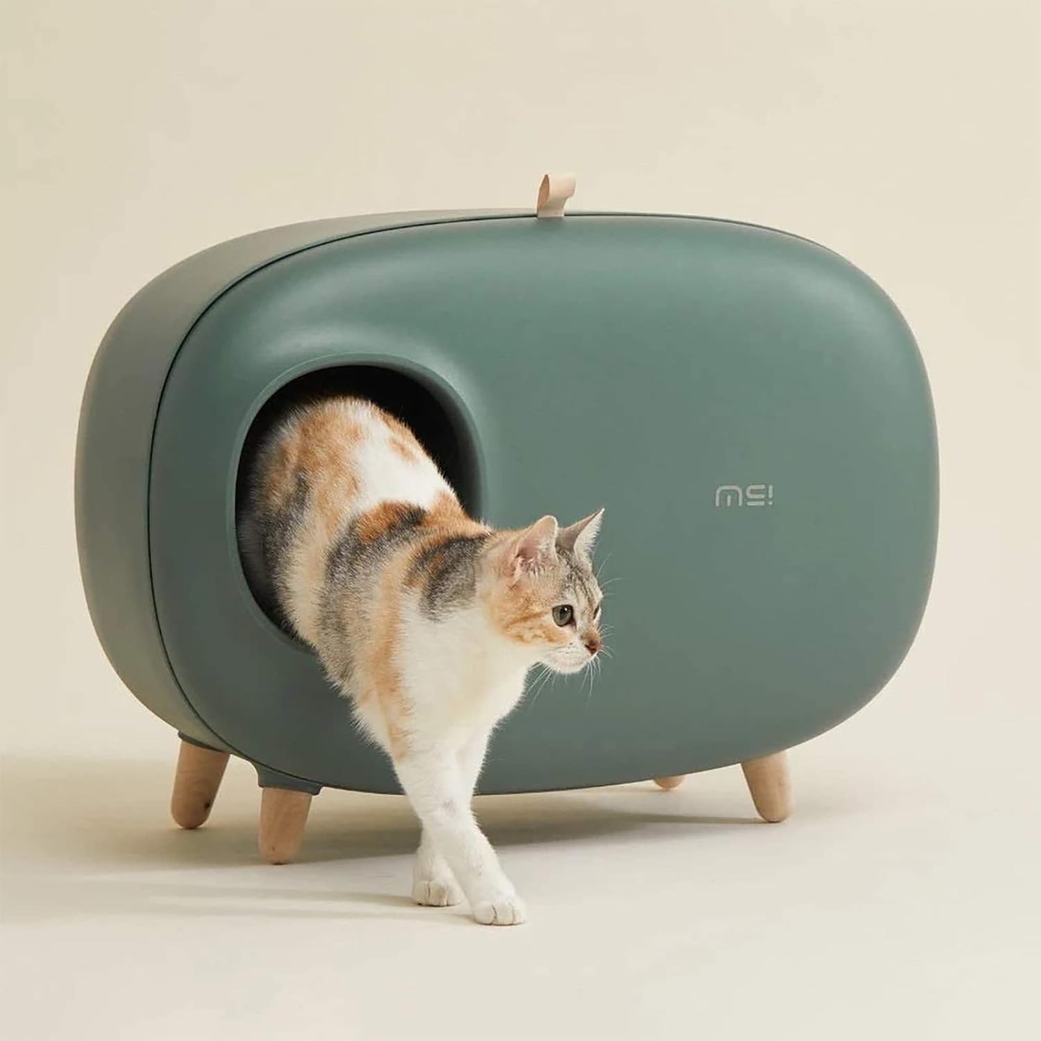oval cat litter box