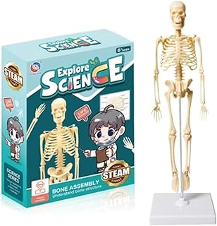 Carole لعبة تجميع السكون - كتاب Explaining Names Every Part In The Structure +5 Years -TXL-117