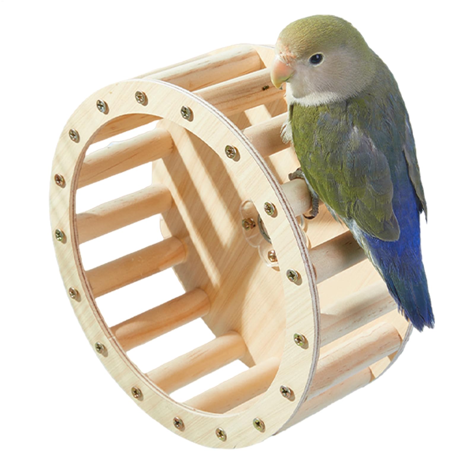 Jouet pour hamster intelligent et jeu interactif pour perruches calopsittes