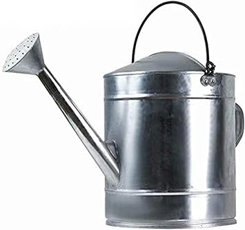 Watering Can Garden Watering Can Metal Watering Can Irrigate Garden Plants Flower Garden Bucket Plant Bonsai Nursery Watering Can Suitable for Indoor and Outdoor - 8.9 x 7.9 x 9.1 inches 20 x 20 x 23