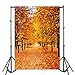 Laeacco Autumn Scenery 3x5ft Vinyl Photography Backdrop Tree and Fall Leaves View 1x1.5m Background Studio Props