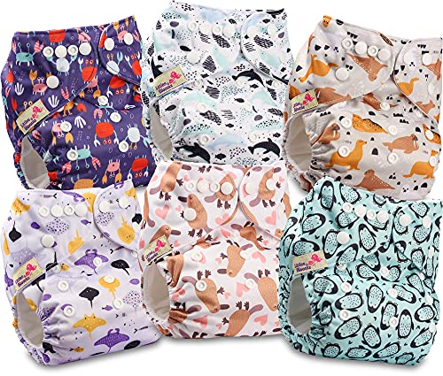Littles and Bloomz   Pañal reutilizable con bolsillo para bebé, pañal de tela de tamaño estándar, 6 pañales, FLP2 0601