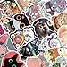 Homyu Stickers Pack 50-Pcs Decals of Cute Cat Animal Stickers Decals for Cars Motorcycle Portable Luggages Ipad Laptops Waterproof Sunlight-Proof