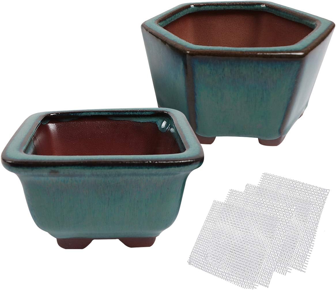 Happy Bonsai 2 pc Mini Glazed Pots Value Set + 4 Soft Mesh Drainage Screens